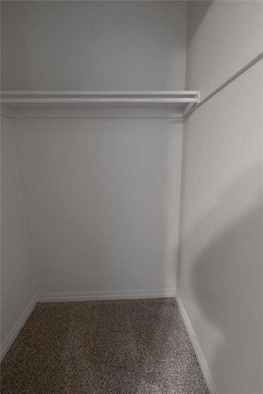 walk in closet with carpet