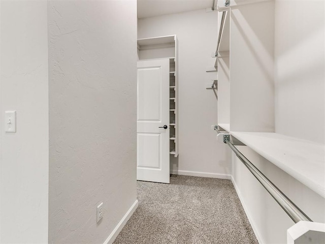 walk in closet featuring carpet floors