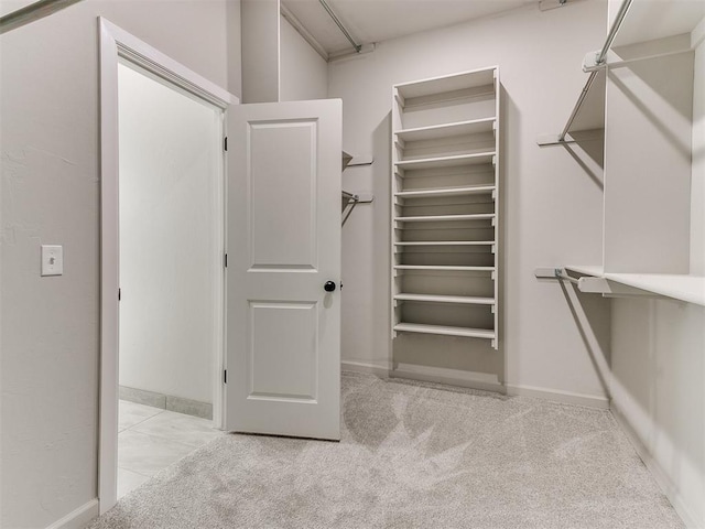 spacious closet featuring light carpet