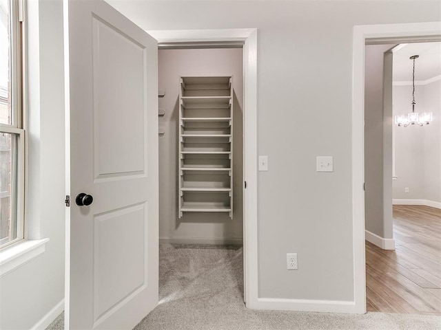 view of closet