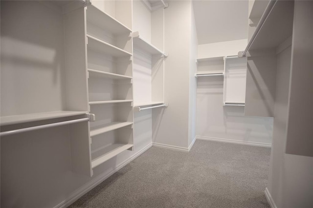 spacious closet with light colored carpet