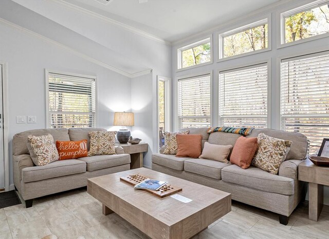 living room featuring crown molding and vaulted ceiling