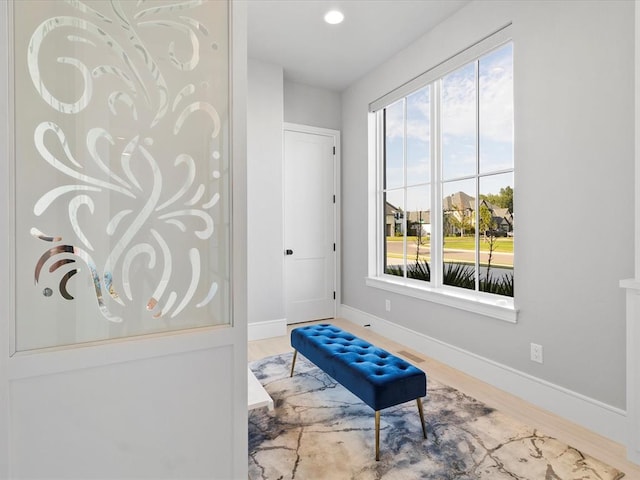 sitting room featuring a wealth of natural light and wood-type flooring