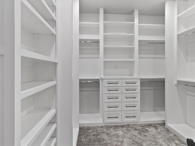 spacious closet with carpet floors