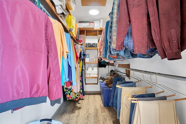 spacious closet with hardwood / wood-style floors