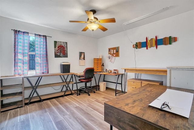 office featuring hardwood / wood-style flooring and ceiling fan