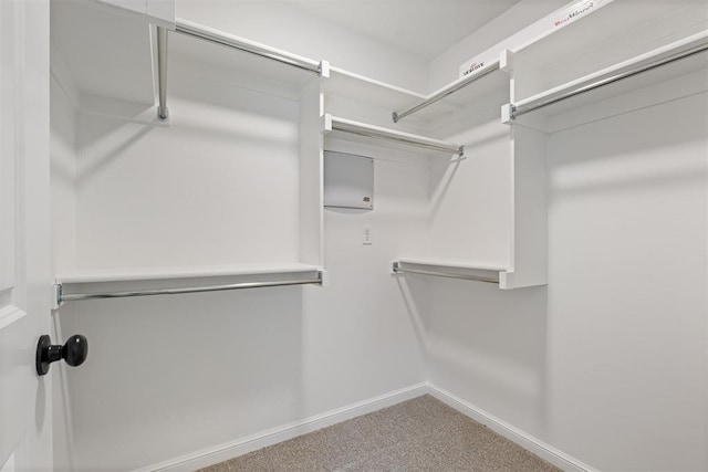 spacious closet with carpet