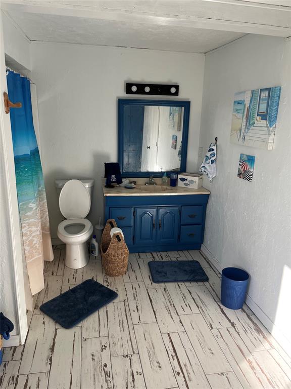 bathroom with wood-type flooring, vanity, and toilet