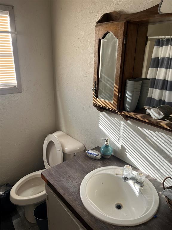 bathroom with vanity and toilet