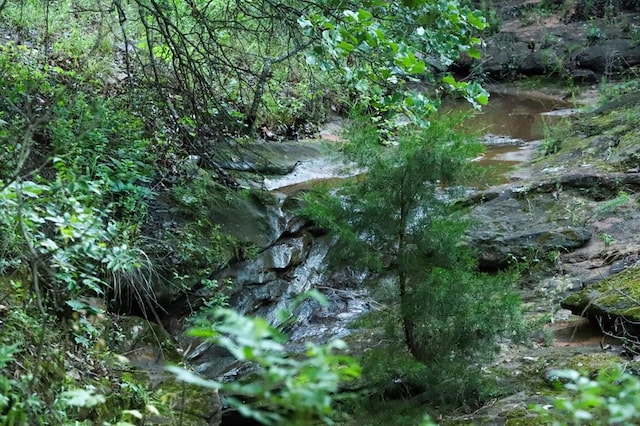 view of nature with a water view