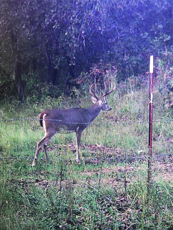 33100 S 529 W Ave, Stroud, OK 74079 - photo 32