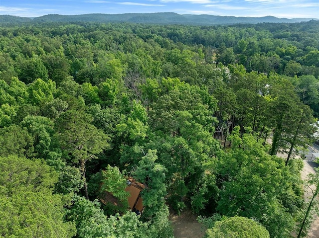 aerial view with a mountain view