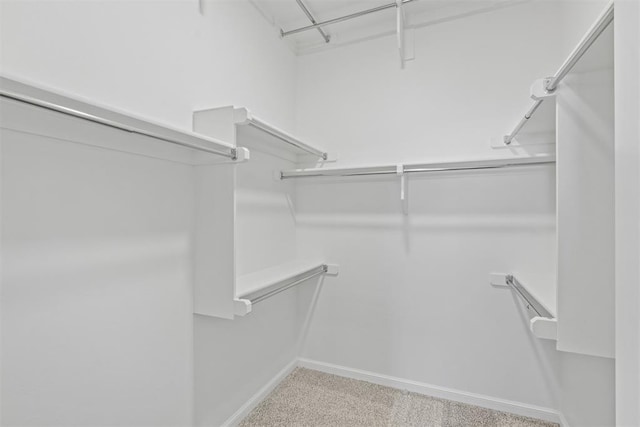 spacious closet featuring light colored carpet