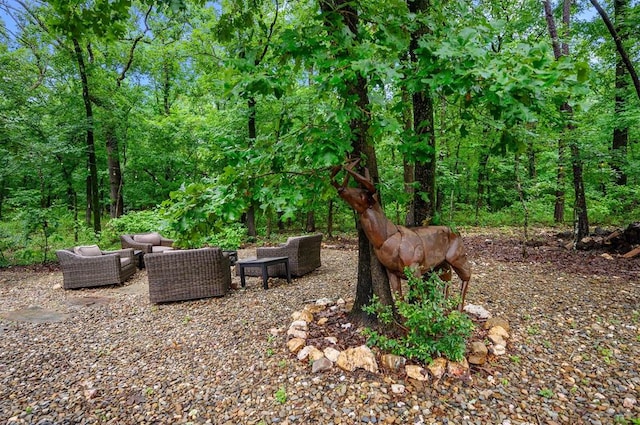 view of yard with an outdoor hangout area