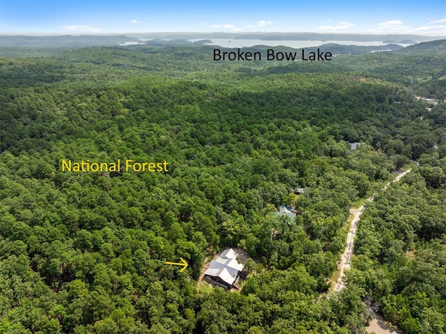 birds eye view of property featuring a mountain view