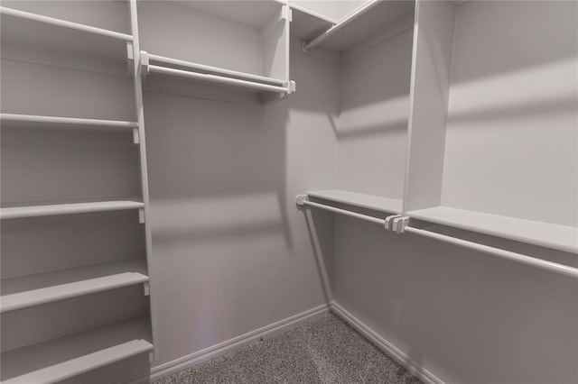 spacious closet with carpet flooring