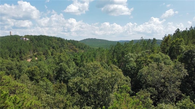 148 Timberline Trl, Broken Bow OK, 74728 land for sale