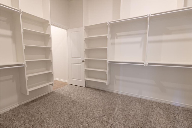 spacious closet with carpet