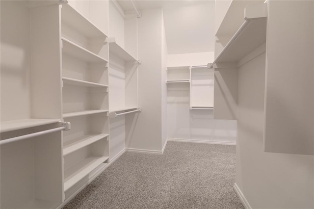 walk in closet featuring carpet floors