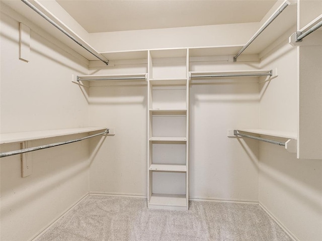 spacious closet with light colored carpet