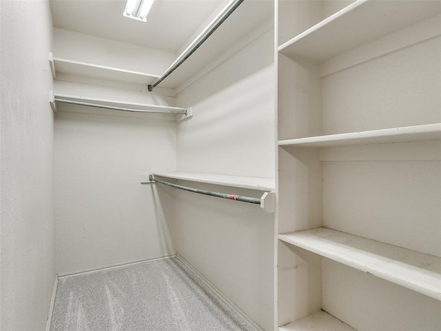 spacious closet featuring carpet