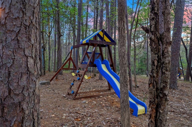 view of jungle gym