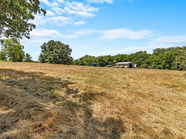 view of yard with a rural view