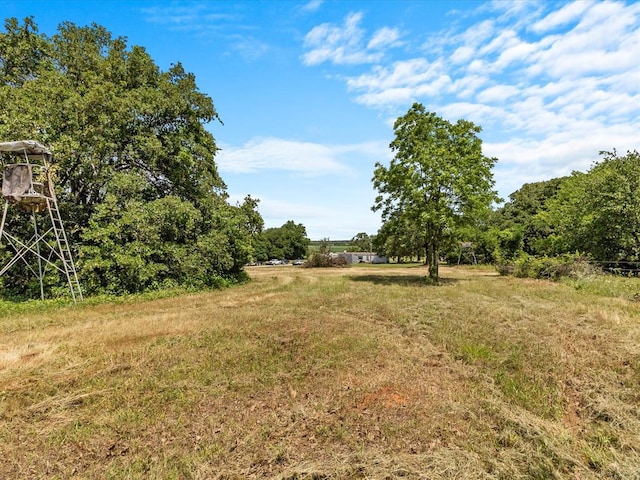 view of yard with a rural view