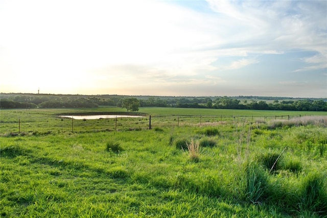 view of yard with a rural view