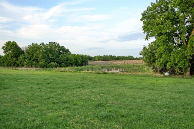 view of yard with a rural view