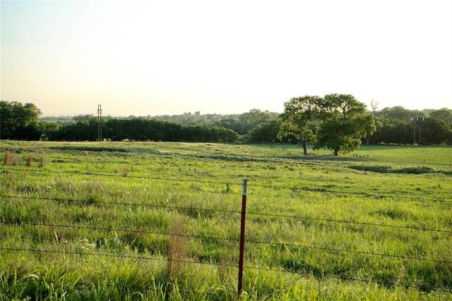 view of yard with a rural view