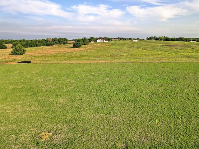 view of yard with a rural view