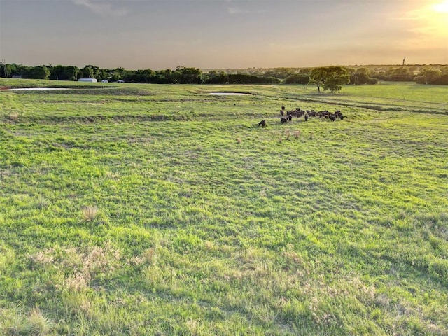 yard at dusk with a rural view