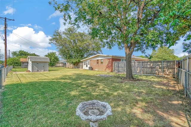 view of yard with a shed