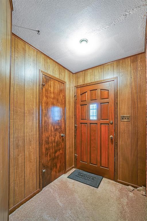 foyer entrance featuring wood walls, carpet floors, and a textured ceiling