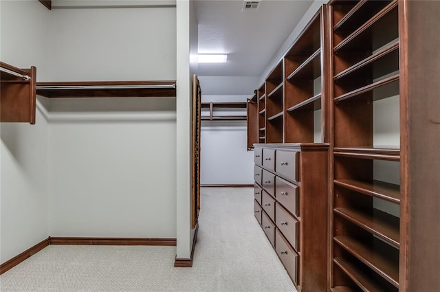 spacious closet with light carpet