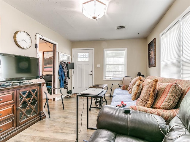 living room featuring light hardwood / wood-style floors