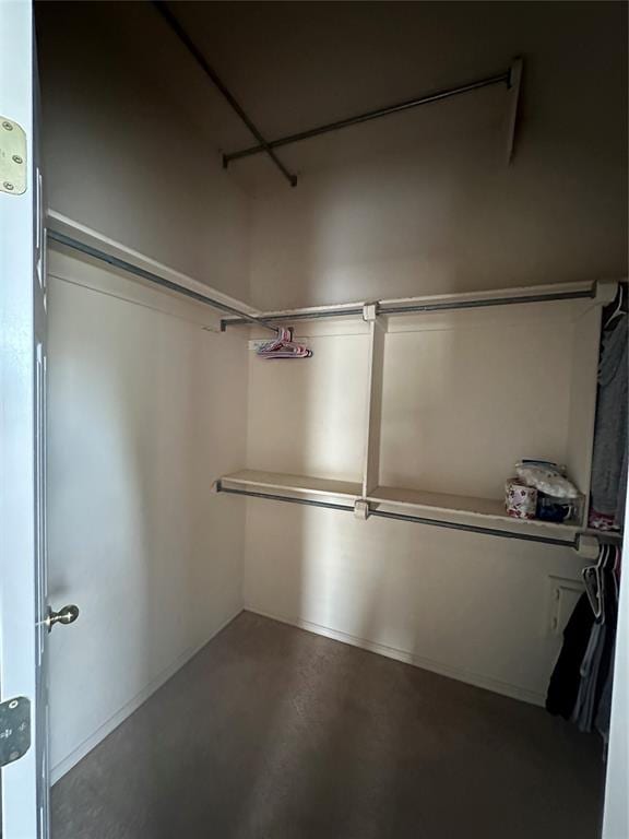 view of walk in closet