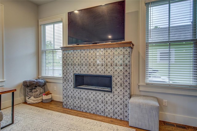 living room featuring wood-type flooring