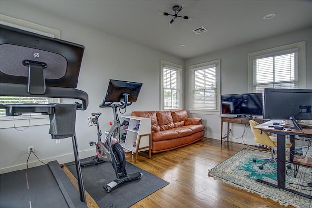 workout area with hardwood / wood-style flooring and a wealth of natural light