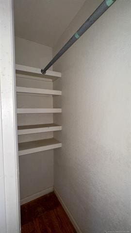 spacious closet featuring dark hardwood / wood-style flooring