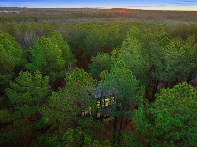 view of aerial view at dusk