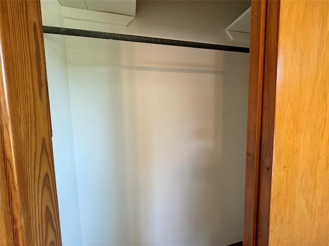 view of closet