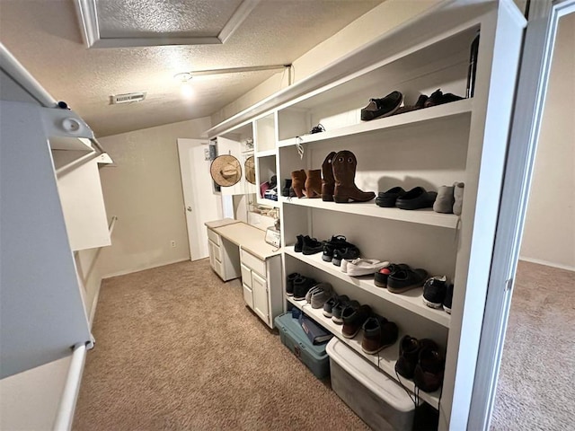 walk in closet with light carpet