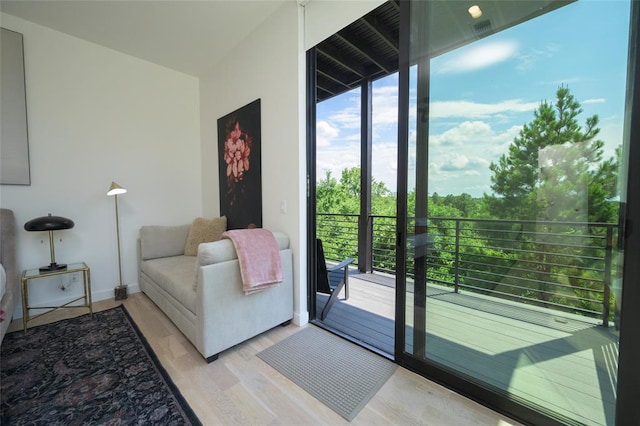 doorway featuring light hardwood / wood-style floors