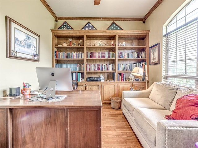 office area featuring crown molding, a healthy amount of sunlight, and light hardwood / wood-style floors