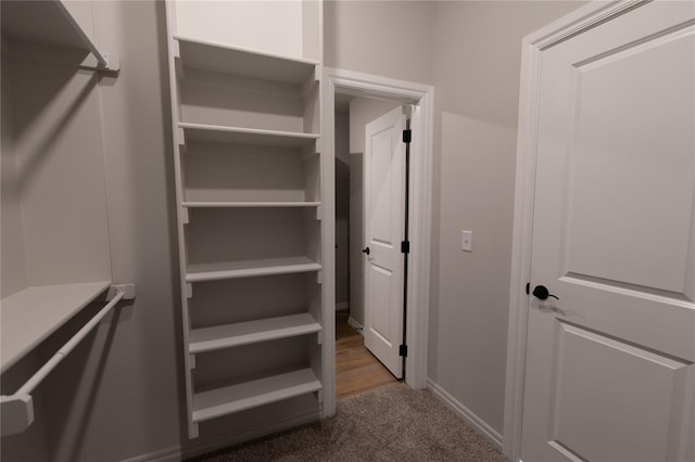 walk in closet with hardwood / wood-style floors