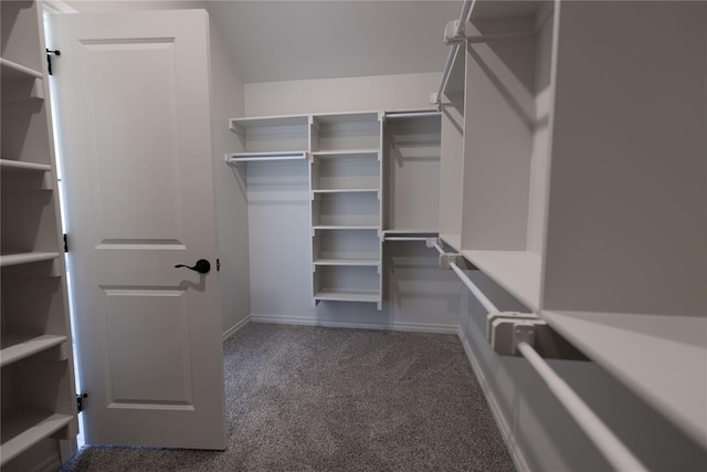 walk in closet with carpet