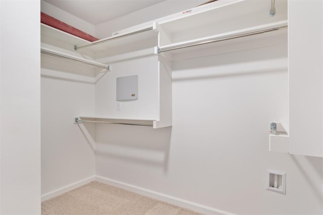 spacious closet with light colored carpet