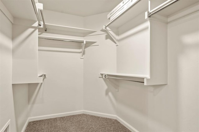 walk in closet featuring carpet